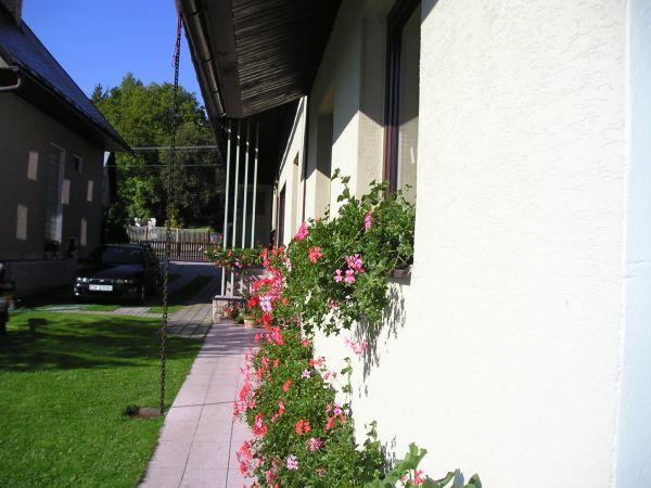 Homestay Gustav Halas Terchova Exterior photo